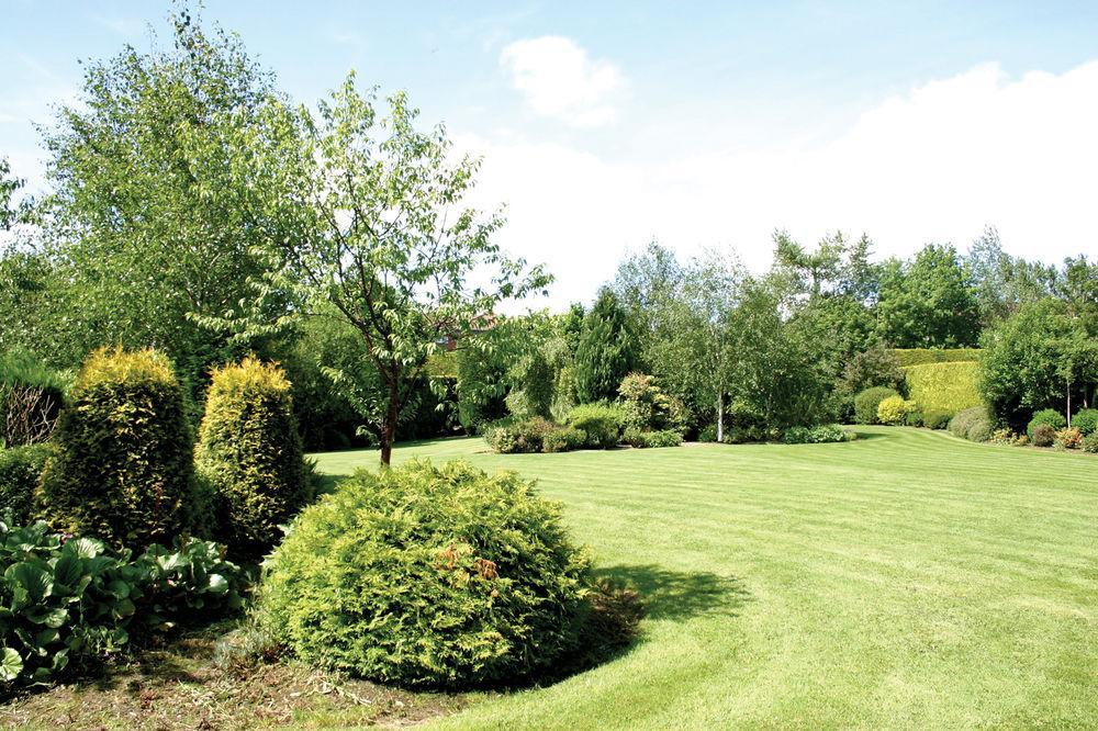 Silverbirch Hotel Omagh Extérieur photo